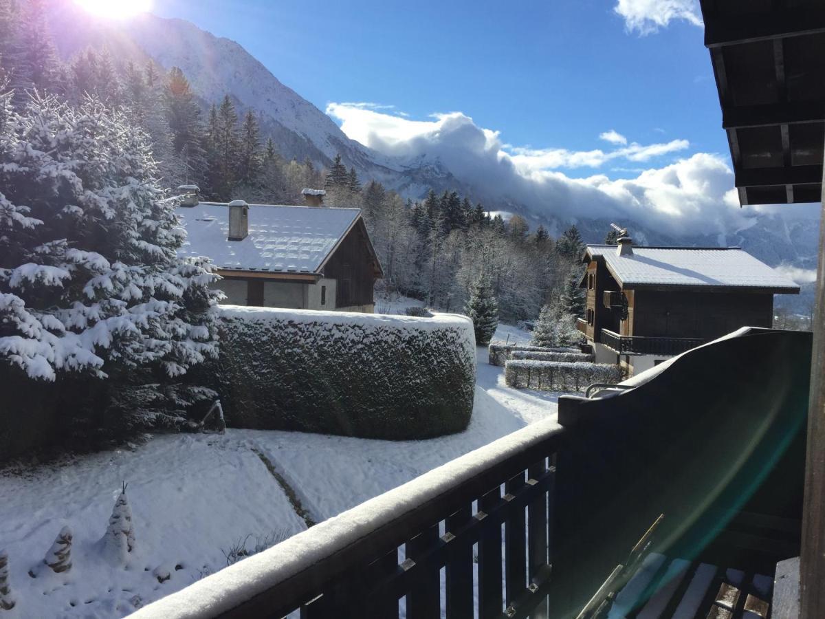 Appartement Cosy Au Pied Du Mtblanc シャモニー エクステリア 写真