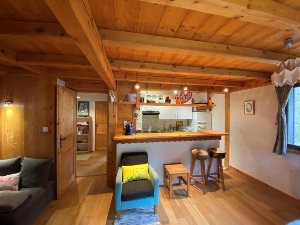 Appartement Cosy Au Pied Du Mtblanc シャモニー エクステリア 写真