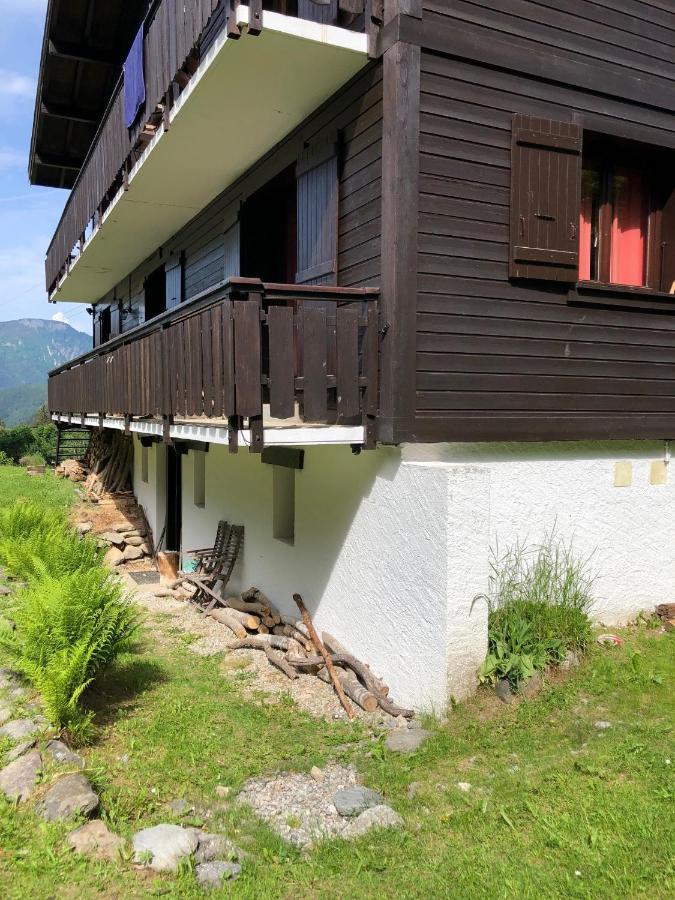 Appartement Cosy Au Pied Du Mtblanc シャモニー エクステリア 写真