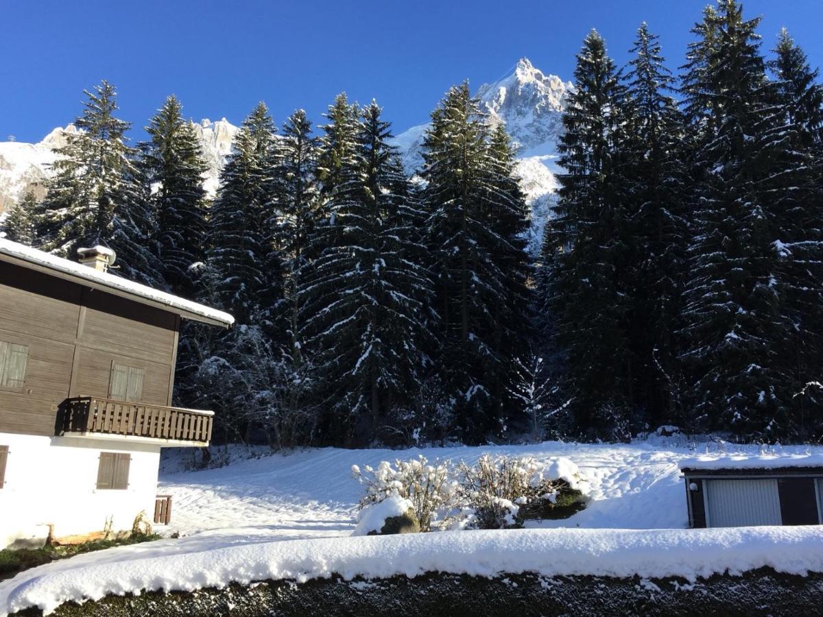 Appartement Cosy Au Pied Du Mtblanc シャモニー エクステリア 写真