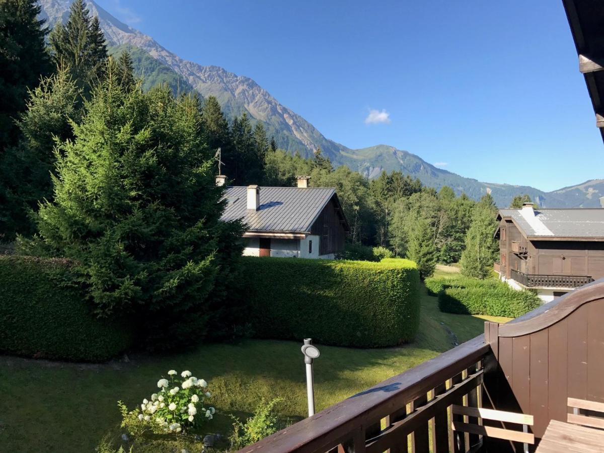 Appartement Cosy Au Pied Du Mtblanc シャモニー エクステリア 写真