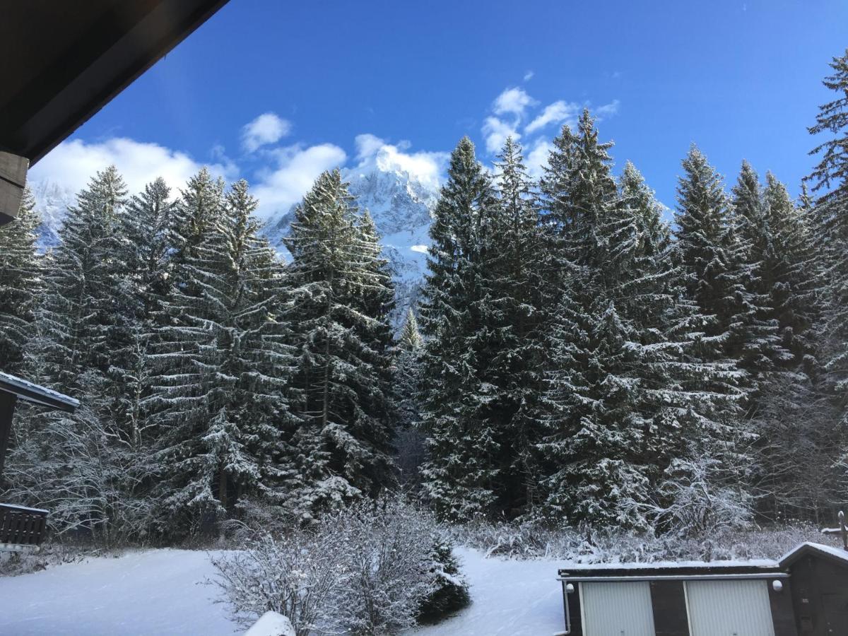 Appartement Cosy Au Pied Du Mtblanc シャモニー エクステリア 写真