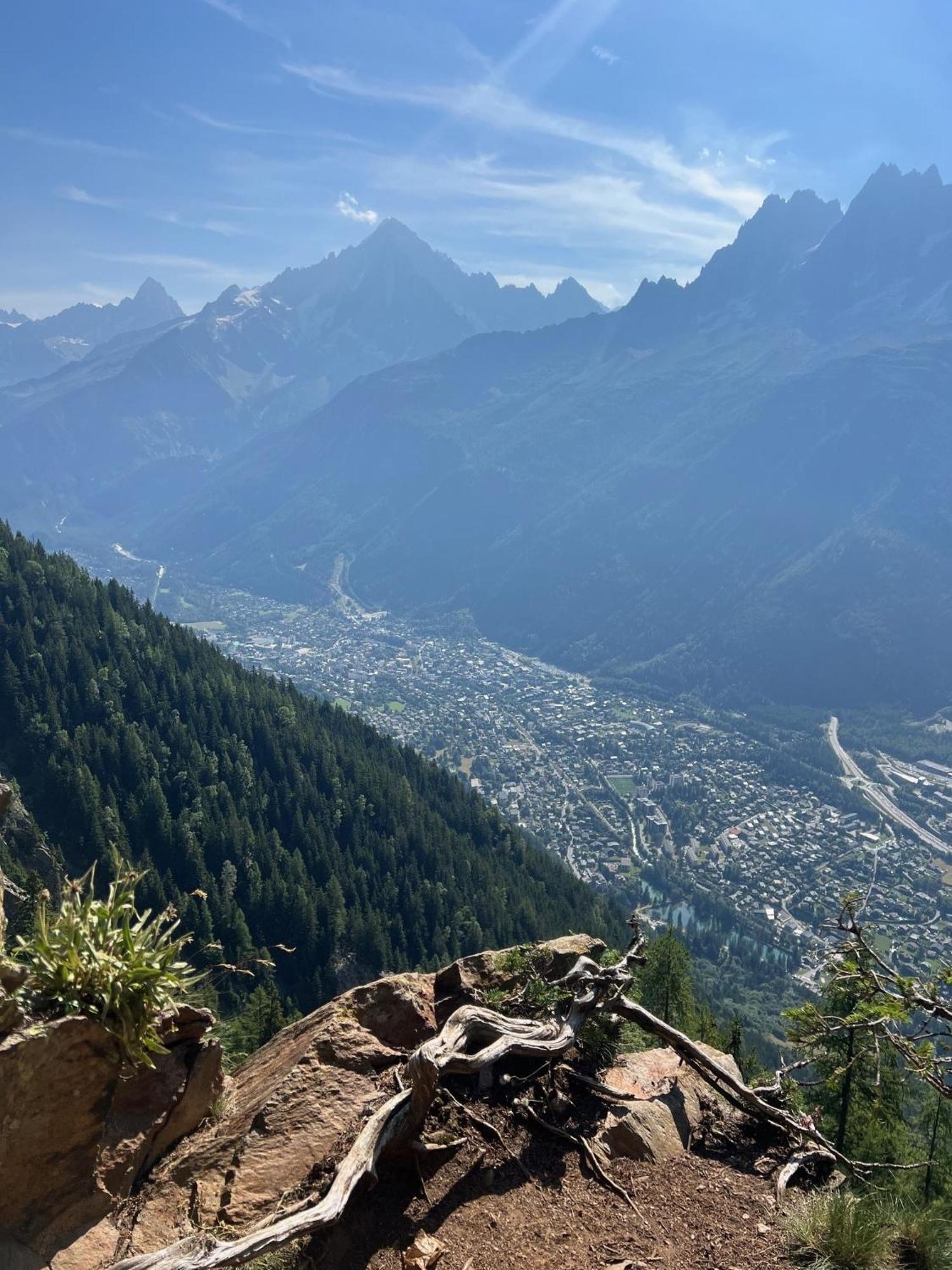 Appartement Cosy Au Pied Du Mtblanc シャモニー エクステリア 写真